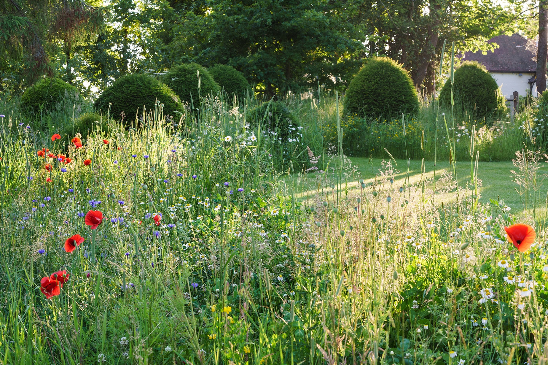 The Forbury - Garden Design in Berkshire