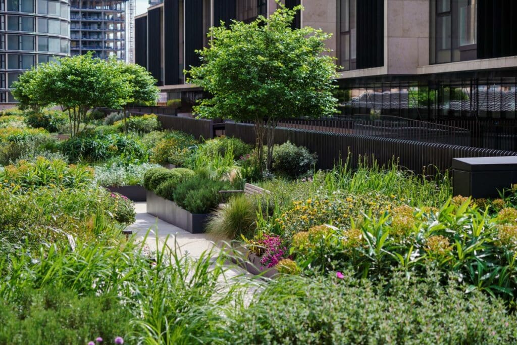 The roof gardens at Battersea Power Station. A winding path runs among generous beds of perennials and grasses to give a feel of a meandering River and reflecting the location next to The River Thames