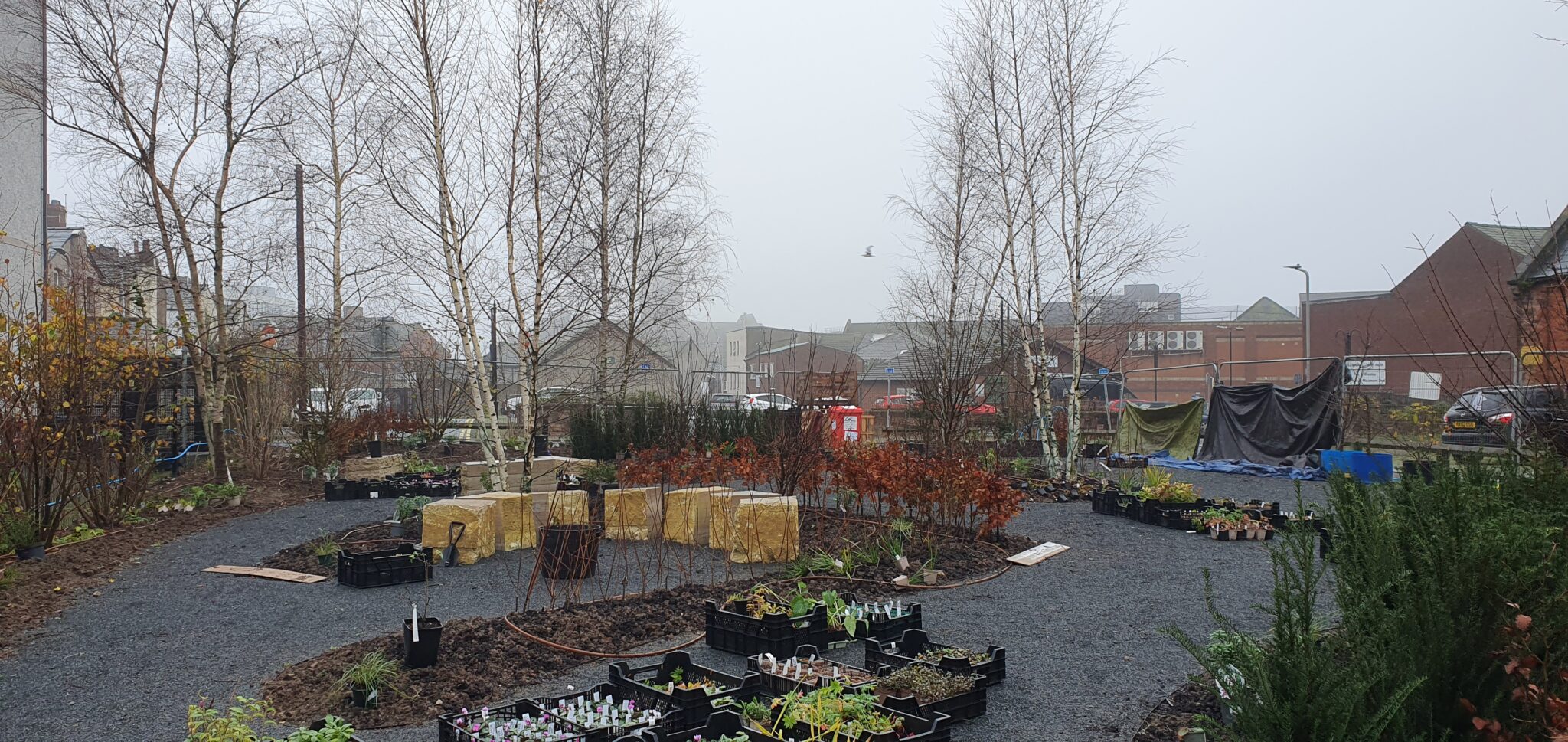 The Mind Garden moves to Barrow in Furness