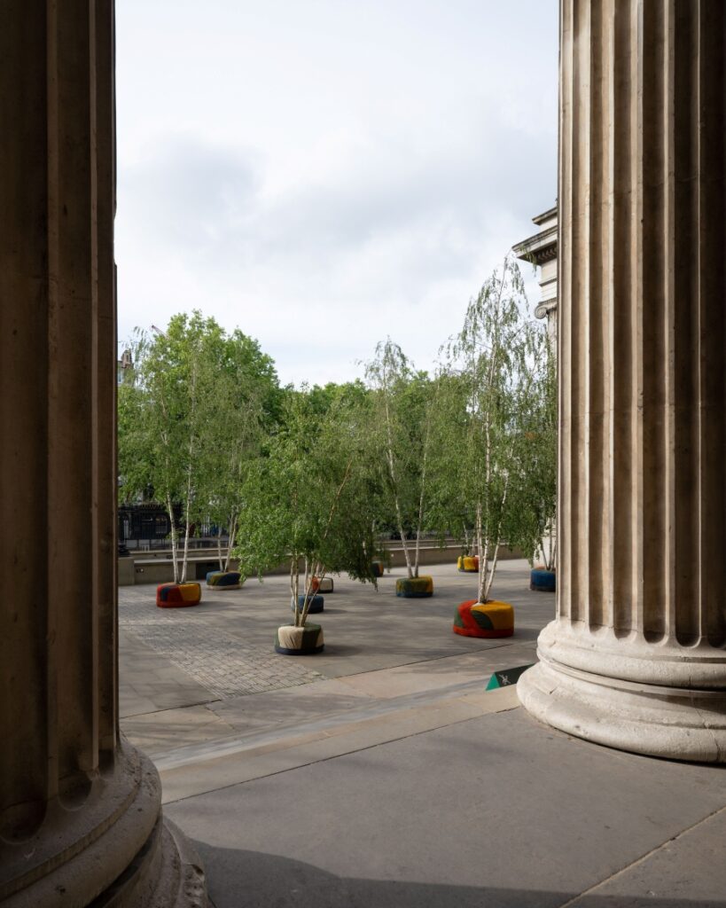 A view of birch trees outside the British Museum in London to herald the arrival of the Bayeux Tapestry