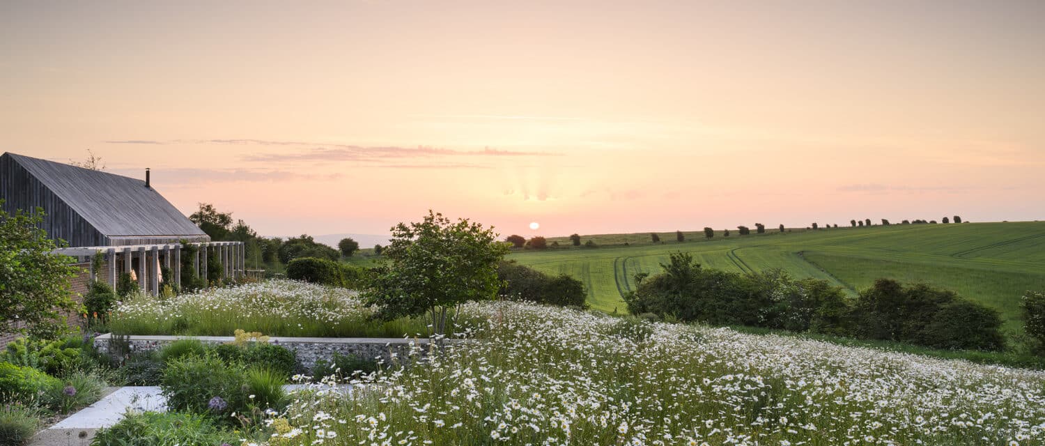 a modern country garden overlooking the south downs at sunrise