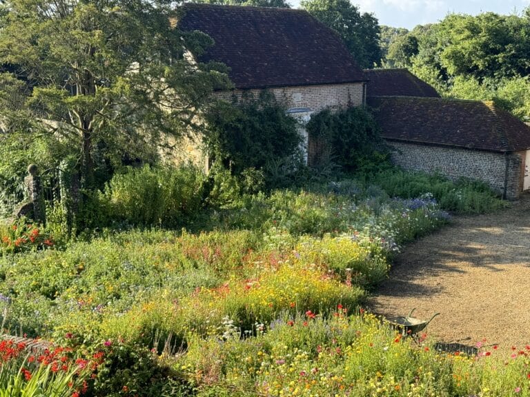 Sussex Farmhouse with wildflower meadow