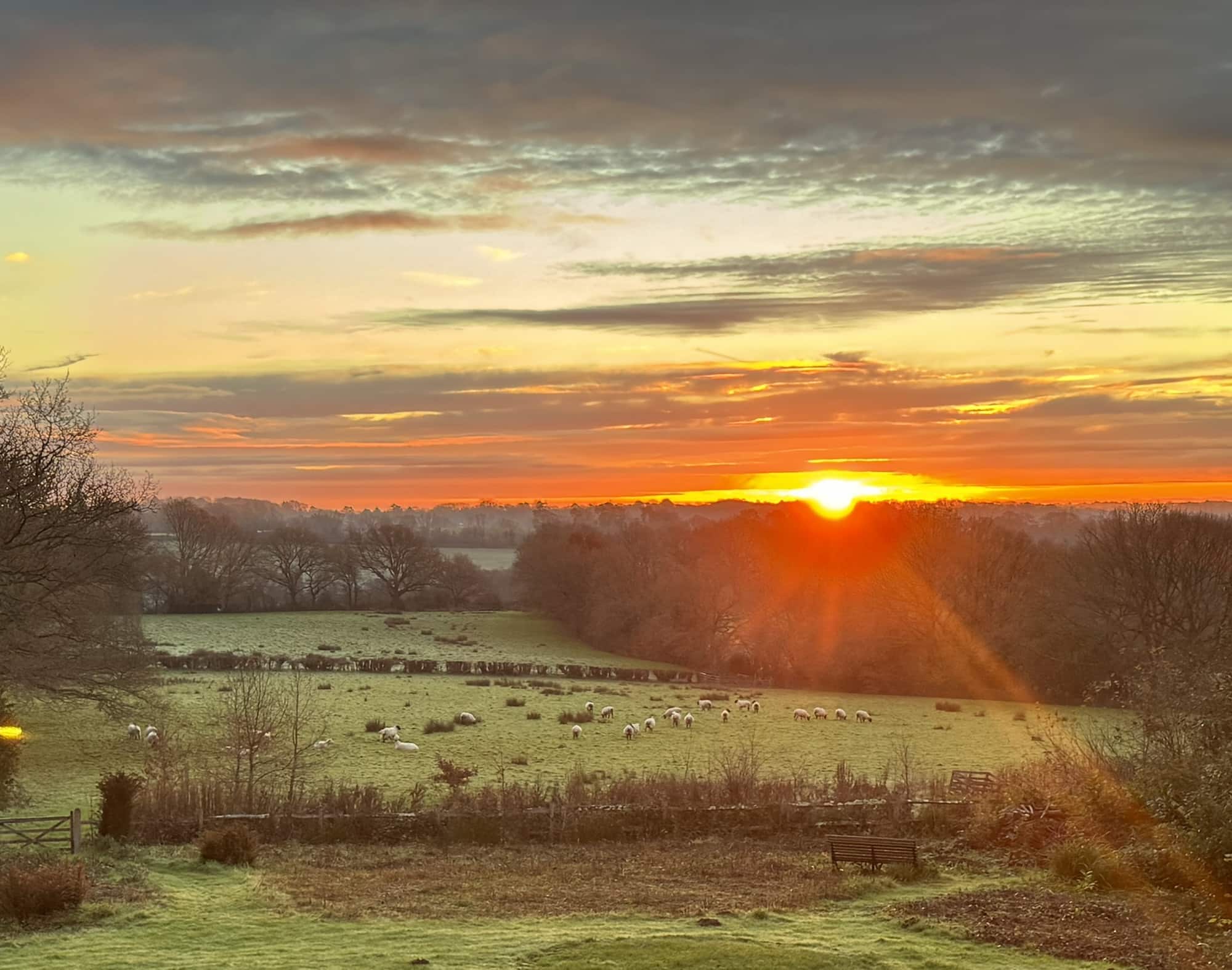 farmhouse with naturalistic garden and meadows at sunset