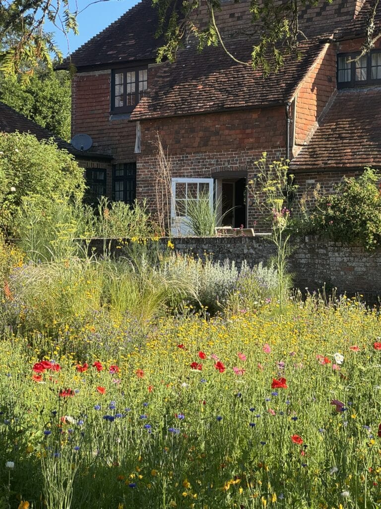 Sussex Farmhouse with wildflower meadow