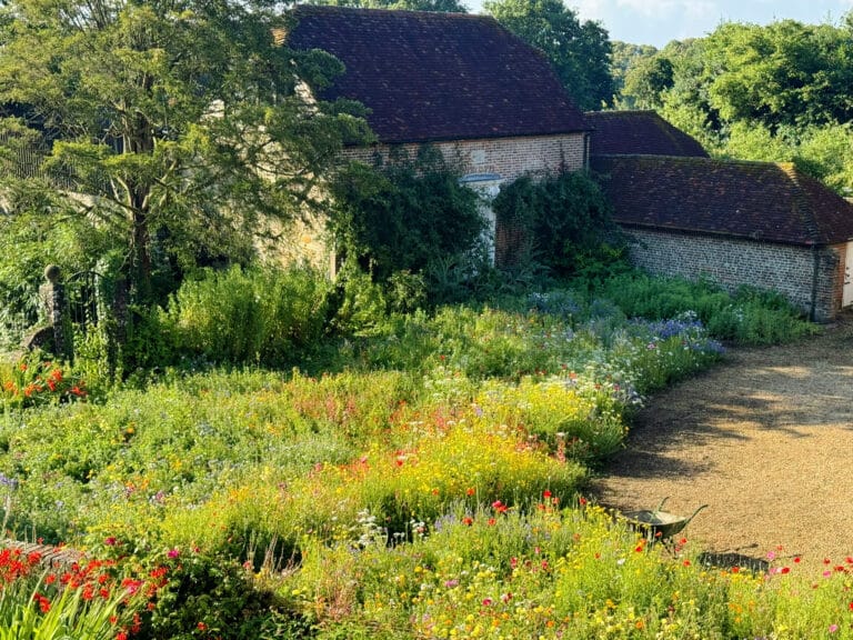 Sussex Farmhouse with wildflower meadow