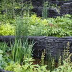 M&G Chelsea flowwr show garden designed by Andy Sturgeon, Chelsea 2019 UK M&G Chelsea flower show garden 2019