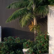 bermuda - international gardens