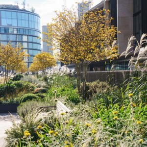 Photography by Rachel Warne Switch House East Roof Terraces at Battersea Power Station