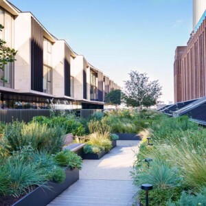 photo by Rachel Warne