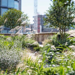 Switch House West Roof Gardens at Battersea Power Station Switch House West Roof Gardens at Battersea Power Station