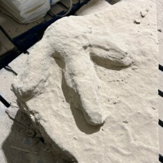 Chelsea Flower Show 2022: Purbeck Stone