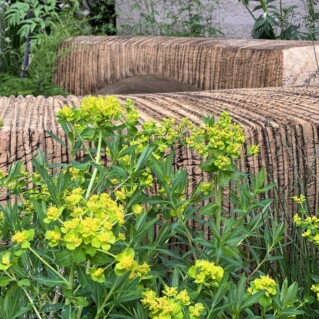 benches chelsea flower show