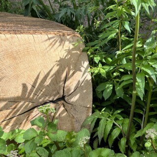 wooden benches chelsea flower show