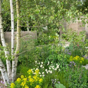 Photo Credit: Marianne Majerus RHS Chelsea Flower Show 2022