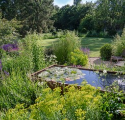 The Forbury - Garden Design in Berkshire