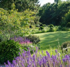 The Forbury - Garden Design in Berkshire