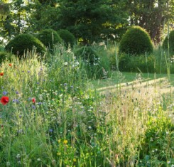 The Forbury - Garden Design in Berkshire