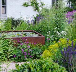 The Forbury - Garden Design in Berkshire