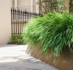 Hobhouse - Garden Design London