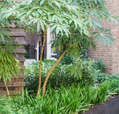 Hobhouse - Garden Design London