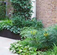 Hobhouse - Garden Design London