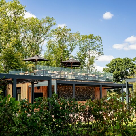 Ridgeview Rows and Vine Gardens in Sussex by Andy Sturgeon Design